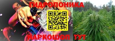 МДПВ Пенза