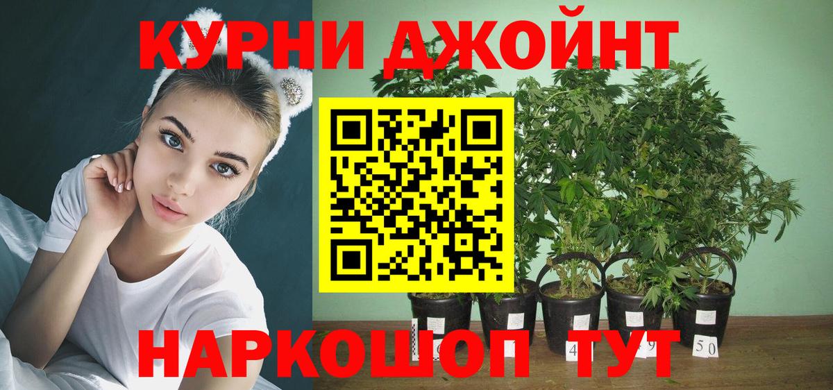 Саратов  Бошки Шишки планчик  Бошки марихуана тримм  Марихуана MAZAR  Вход с VPN 