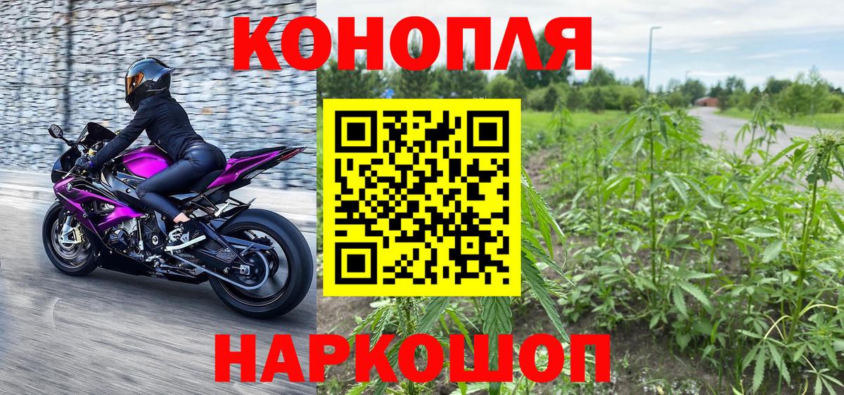 МАРИХУАНА семена Саратов